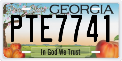 GA license plate PTE7741