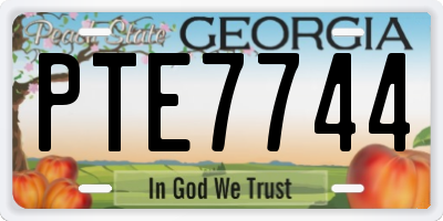 GA license plate PTE7744