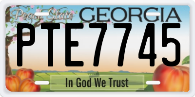 GA license plate PTE7745