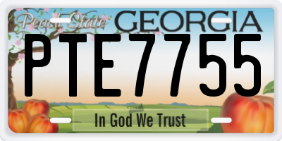 GA license plate PTE7755