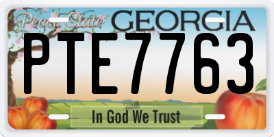 GA license plate PTE7763