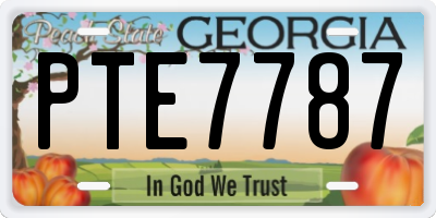 GA license plate PTE7787