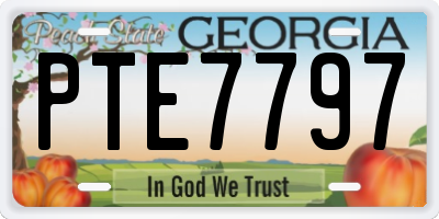 GA license plate PTE7797