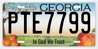 GA license plate PTE7799