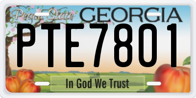 GA license plate PTE7801