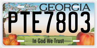 GA license plate PTE7803
