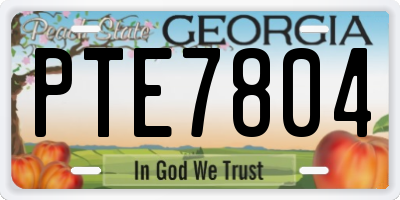 GA license plate PTE7804