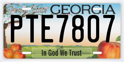 GA license plate PTE7807