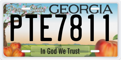 GA license plate PTE7811