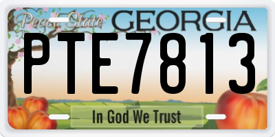 GA license plate PTE7813
