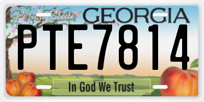 GA license plate PTE7814