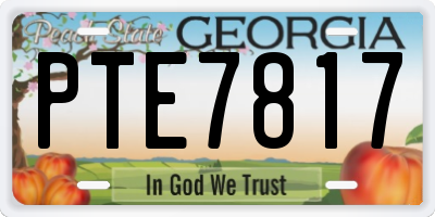 GA license plate PTE7817
