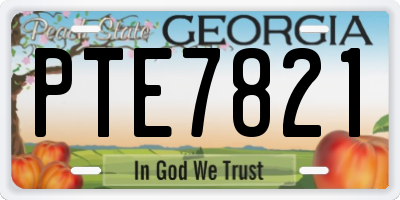 GA license plate PTE7821