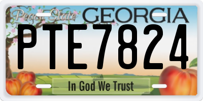 GA license plate PTE7824