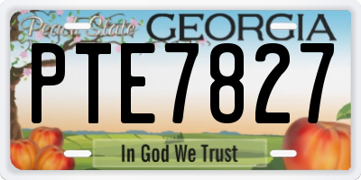 GA license plate PTE7827
