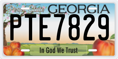 GA license plate PTE7829