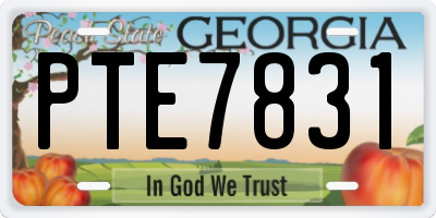 GA license plate PTE7831