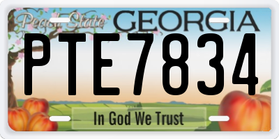 GA license plate PTE7834
