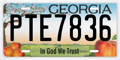 GA license plate PTE7836