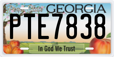 GA license plate PTE7838