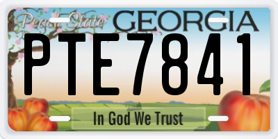 GA license plate PTE7841