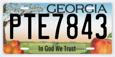 GA license plate PTE7843