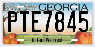 GA license plate PTE7845