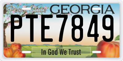 GA license plate PTE7849