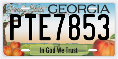 GA license plate PTE7853