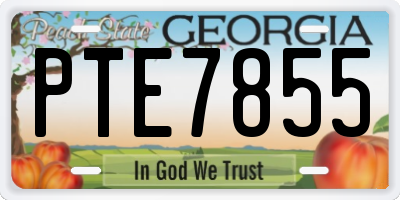 GA license plate PTE7855