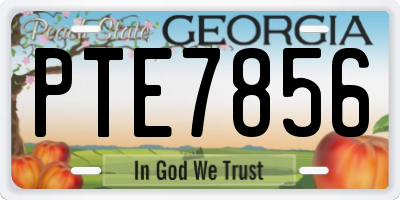 GA license plate PTE7856