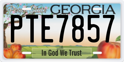 GA license plate PTE7857