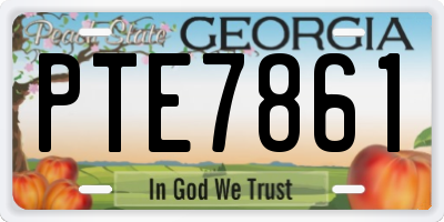 GA license plate PTE7861
