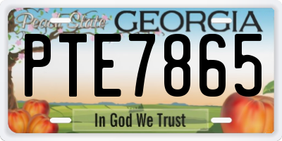 GA license plate PTE7865