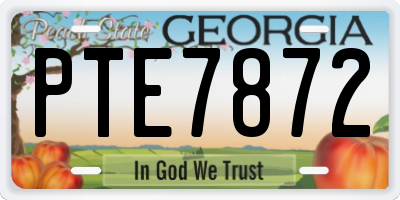 GA license plate PTE7872