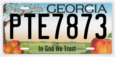 GA license plate PTE7873