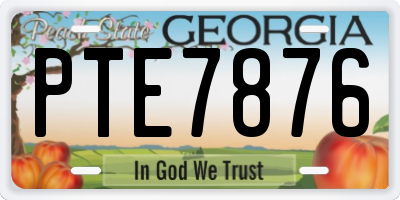 GA license plate PTE7876