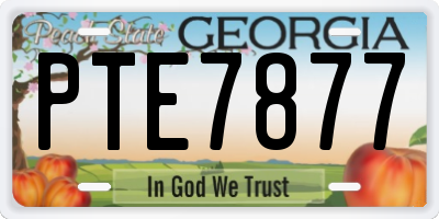 GA license plate PTE7877