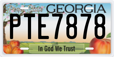 GA license plate PTE7878