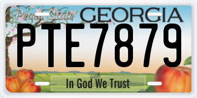 GA license plate PTE7879