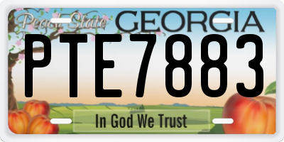 GA license plate PTE7883