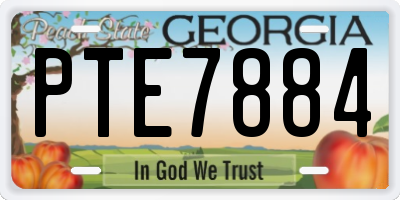 GA license plate PTE7884