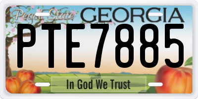 GA license plate PTE7885