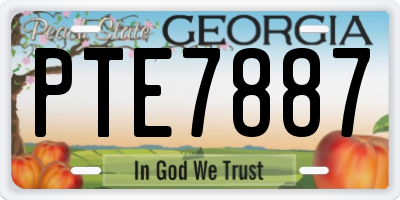GA license plate PTE7887