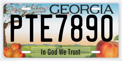 GA license plate PTE7890