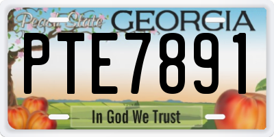 GA license plate PTE7891