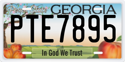 GA license plate PTE7895