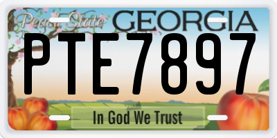GA license plate PTE7897