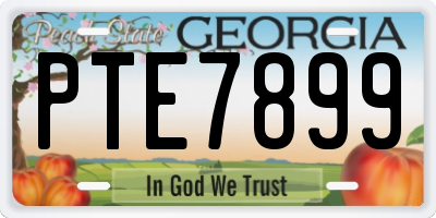 GA license plate PTE7899