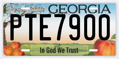 GA license plate PTE7900